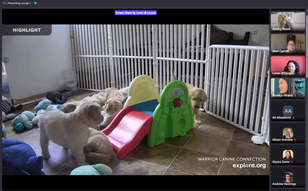 Loopicon ‘Petworking’ Session